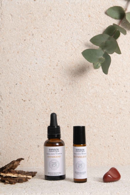 Estabilidad Chakra Raíz